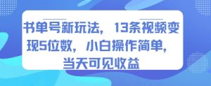 书单号新玩法,13条视频变现5位数,小白操作简单,当天可见收益-苏柒资源库