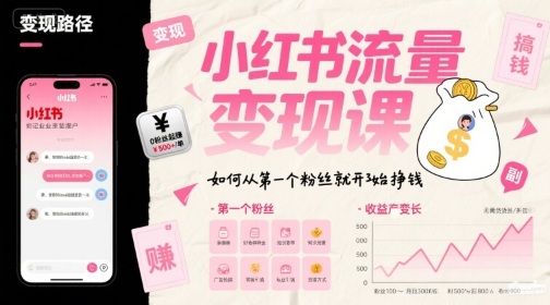 小红书流量变现课，如何从第一个粉丝就开始挣钱-苏柒资源库