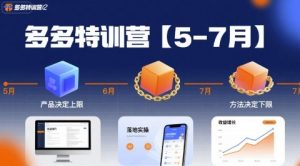 多多特训营【5-7月】产品决定上限,方法决定下限,各种玩法技巧落地实操-苏柒资源库