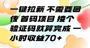 一键拉新 不需要回传 首码项目 接个验证码就算完成 一小时收益70+【揭秘】-苏柒资源库