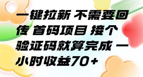 一键拉新 不需要回传 首码项目 接个验证码就算完成 一小时收益70+【揭秘】-苏柒资源库