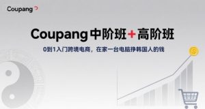 Coupang中阶班+高阶班,0到1入门跨境电商,在家一台电脑挣韩国人的钱-苏柒资源库
