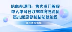 信息差项目：售卖冷门教程单人单号日收9张纯利基本就是复制粘贴就能做-苏柒资源库