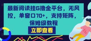 最新阅读挂G撸金平台,无风控,单窗口70+,支持矩阵,保姆级教程【揭秘】-苏柒资源库