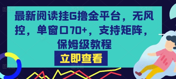 最新阅读挂G撸金平台，无风控，单窗口70+，支持矩阵，保姆级教程【揭秘】-苏柒资源库