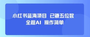 小红书蓝海项目，全程AI，操作简单，已挣五位数-苏柒资源库