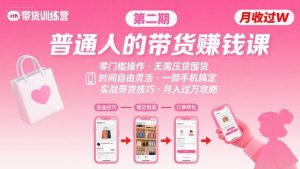 小红书带货第二期训练营,普通人月收过W的带货课,时间自由,零门槛无压货,一部手机即可操作-苏柒资源库