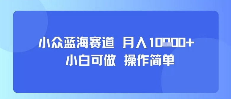 小众蓝海赛道，小白可做，操作简单，每天30分钟，月入1W+-苏柒资源库