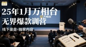 25年1月万相台无界爆款特训营线下录音-苏柒资源库
