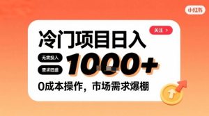 在小红书上发现个冷门路子，需求不小，零成本操作，每天能有1k进账-苏柒资源库