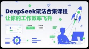 DeepSeek玩法合集课程,让你的工作效率飞升-苏柒资源库