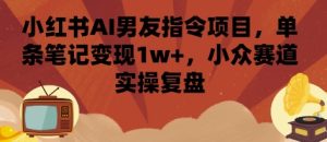 小红书AI男友指令项目,单条笔记变现1w+,小众赛道实操复盘-苏柒资源库