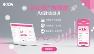 小红书广告投放从0到1的实战课,学完即可开始投放,拒绝无效广告消耗-苏柒资源库