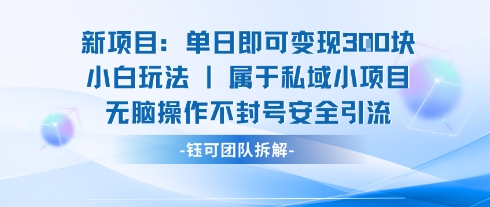 新项目单日即可变现3张的小白玩法无脑操作不封号安全引流-苏柒资源库