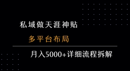 私域做天涯神贴 多平台布局 月入5k+详细流程拆解-苏柒资源库