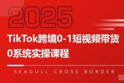 TikTok跨境0-1短视频带货，系统拆解TikTok跨境带货全链路，实现跨境可持续盈利-苏柒资源库