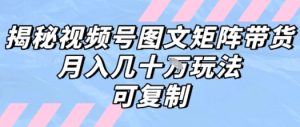 解密视频号图文矩阵带货,月入几个W的打法,可复制-苏柒资源库
