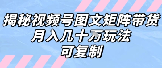 解密视频号图文矩阵带货，月入几个W的打法，可复制-苏柒资源库