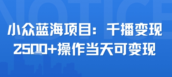 小众蓝海项目，千播变现2.5k+操作当天可变现-苏柒资源库