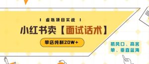 小红书虚拟项目掘金，卖面试话术资料，单店纯利20W+(附爆款笔记制作方法)-苏柒资源库