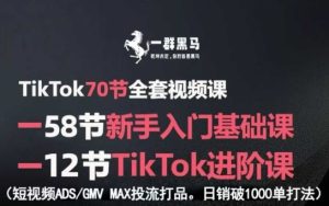 TikTok全套视频课,新手入门+进阶课,短视频ADS-GMV MAX投流打品,日销破1000单打法-苏柒资源库