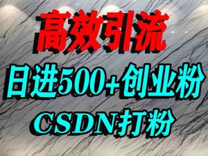 怎么打创业粉?CSDN又一个你不知道的打粉引流神秘平台,单人日引500+精准流量-苏柒资源库