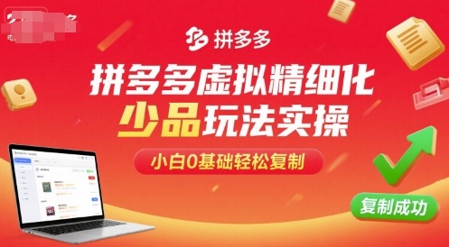 拼多多虚拟精细化少品玩法实操，小白0基础轻松复制-苏柒资源库