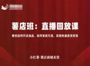 小红薯薯店商城卖货直播回放课,教你如何开店选品、如何系统引流,实现快速卖货变现-苏柒资源库