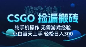 8月最新游戏搬砖,CSGO纯挂G,不需要玩游戏,实现真挂G,月入1W+【揭秘】-苏柒资源库
