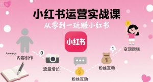小红书运营实战课,从零到一玩賺小红书-苏柒资源库