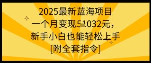 2025最新蓝海项目一个月变现1w+新手小白也能轻松上手【附全套指令】-苏柒资源库