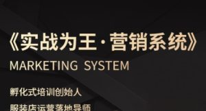 服装老板必修课《实战为王-营销系统》实现业绩被动式增长-苏柒资源库