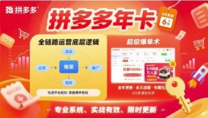 拼多多年卡【8月更新6节】拼多多全链路运营底层逻辑,超级爆单术-苏柒资源库