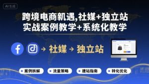 跨境电商新机遇,社媒+独立站,实战案例教学+系统化教学-苏柒资源库