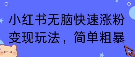 小红书无脑快速涨粉变现玩法，简单粗暴-苏柒资源库