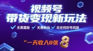 视频号带货变现新玩法,无需露脸,无需粉丝,无任何封号风险,一天收益8张【揭秘】-苏柒资源库