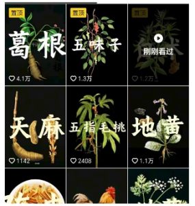 抖音中草药赛道,用AI做中草药故事视频,45条作品涨粉13W,橱窗带货猛猛出单-苏柒资源库