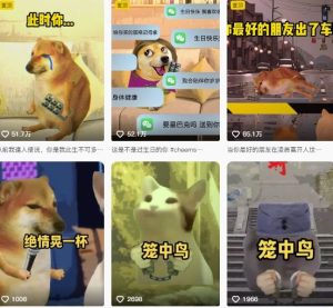 狗头幸运星UE5动画全套课程,从入门到实操全掌握-苏柒资源库