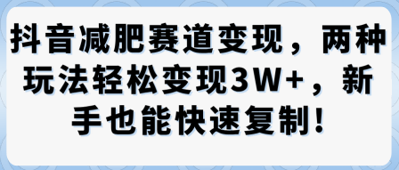 抖音减肥赛道变现，两种玩法轻松变现3W+，新手也能快速复制-苏柒资源库