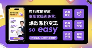 教师教辅赛道变现实操训练营,爆款涨粉变现so easy-苏柒资源库