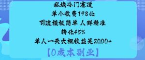 私域冷门赛道:单个收费198米引流模板简单人群精准转化45%单人一天大概收益是1k+-苏柒资源库