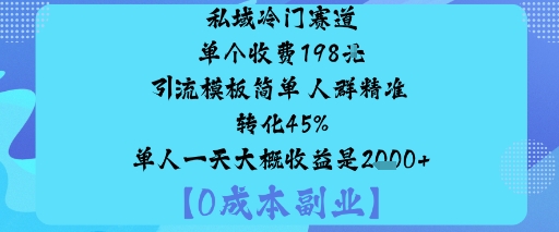 私域冷门赛道:单个收费198米引流模板简单人群精准转化45%单人一天大概收益是1k+-苏柒资源库
