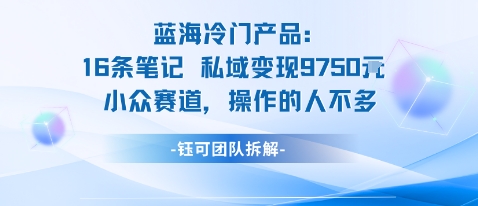 蓝海项目：16条笔记私域变现9750米小众赛道操作的人不多-苏柒资源库