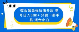 微头条最强玩法介绍一个号日入5张+只要一部手机适合小白-苏柒资源库
