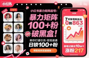 小红书暴力矩阵起号,教你打通引流-变现速通,日锁100+粉,破流量黑盒-苏柒资源库