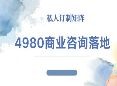 4980商业咨询师落地课程-ip运营高客单教程-苏柒资源库