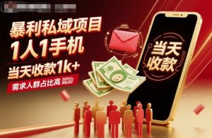 暴利私域项目1人1手机,当天收款1k+,需求人群占比高,当天就能见到钱-苏柒资源库