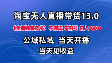 淘宝无人直播13.0，公域私域技术，不封号，不违规布局下半年旺季赛道，日入1K+（独家技术）【揭秘】-苏柒资源库