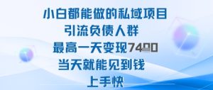 2025年小白都能做的私域项目引流负债人群最高一天变现1k+高变现难度低当天就能见到钱上手快-苏柒资源库