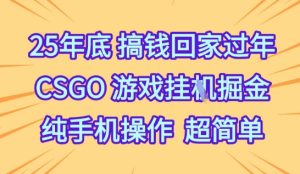 25年底搞钱回家过年,CSGO游戏挂G掘金,纯手机操作超简单【揭秘】-苏柒资源库